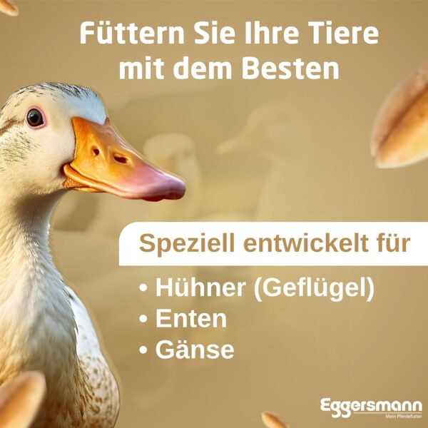 Eggersmann Körnerpick Hühnerfutter 25 kg Körnerfutter Basic - Basic Hühner Körnerfutter Geflügelfutter - Premium Körnermischung für Hühner Gänse und Enten – Bild 5